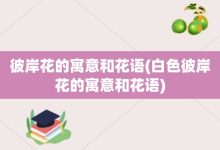 彼岸花的寓意和花语-白色彼岸花的寓意和花语-大智网汇
