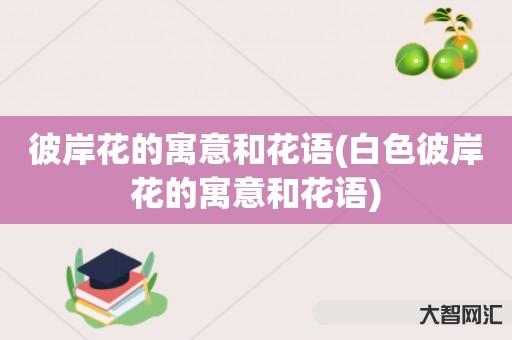 彼岸花的寓意和花语-白色彼岸花的寓意和花语 彼岸花的寓意和花语-白色彼岸花的寓意和花语