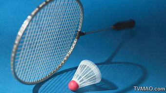 “Badminton”这个英文单词是什么意思？