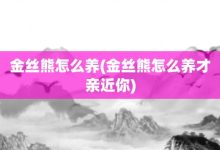 金丝熊怎么养-金丝熊怎么养才亲近你-大智网汇