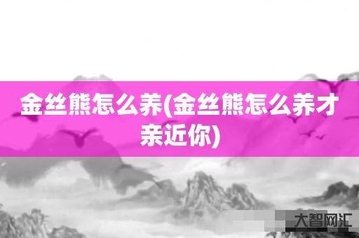 金丝熊怎么养(金丝熊怎么养才亲近你) 金丝熊怎么养(金丝熊怎么养才亲近你)