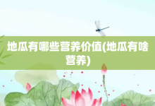 地瓜有哪些营养价值-地瓜有啥营养-大智网汇