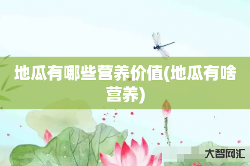地瓜有哪些营养价值(地瓜有啥营养) 地瓜有哪些营养价值(地瓜有啥营养)