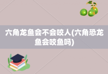 六角龙鱼会不会咬人-六角恐龙鱼会咬鱼吗-大智网汇