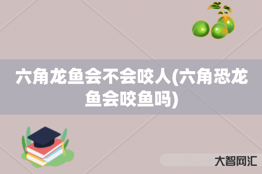 六角龙鱼会不会咬人(六角恐龙鱼会咬鱼吗) 六角龙鱼会不会咬人(六角恐龙鱼会咬鱼吗)