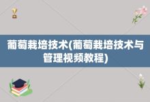 葡萄栽培技术-葡萄栽培技术与管理视频教程-大智网汇