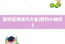野钓实用技巧大全-野钓小知识-大智网汇