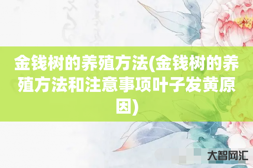 金钱树的养殖方法(金钱树的养殖方法和注意事项叶子发黄原因) 金钱树的养殖方法(金钱树的养殖方法和注意事项叶子发黄原因)