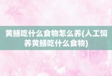 黄鳝吃什么食物怎么养-人工饲养黄鳝吃什么食物-大智网汇