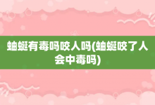 蚰蜒有毒吗咬人吗-蚰蜒咬了人会中毒吗-大智网汇