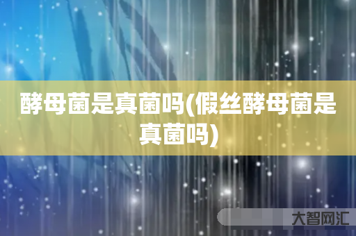 酵母菌是真菌吗(假丝酵母菌是真菌吗) 酵母菌是真菌吗(假丝酵母菌是真菌吗)