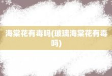 海棠花有毒吗-玻璃海棠花有毒吗-大智网汇