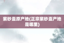 紫砂壶原产地-正宗紫砂壶产地是哪里-大智网汇