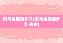 斑马鱼能活多久-斑马鱼能活多久 寿命-大智网汇