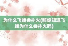 为什么飞蛾会扑火-那你知道飞蛾为什么会扑火吗-大智网汇