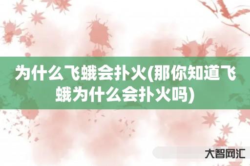 为什么飞蛾会扑火(那你知道飞蛾为什么会扑火吗) 为什么飞蛾会扑火(那你知道飞蛾为什么会扑火吗)