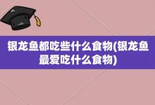 银龙鱼都吃些什么食物-银龙鱼最爱吃什么食物-大智网汇