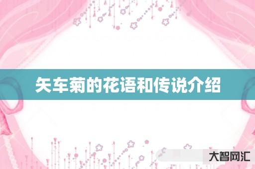 矢车菊的花语和传说介绍 矢车菊的花语和传说介绍