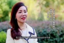 与多人发生不正当性关系,云南80后正厅级女干部段颖..-90后公务员与-大智网汇