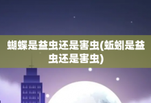 蝴蝶是益虫还是害虫-蚯蚓是益虫还是害虫-大智网汇