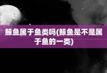 鲸鱼属于鱼类吗-鲸鱼是不是属于鱼的一类-大智网汇