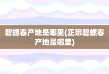碧螺春产地是哪里-正宗碧螺春产地是哪里-大智网汇
