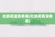 杜鹃花是否有毒-杜鹃花有没有毒-大智网汇