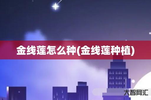金线莲怎么种(金线莲种植) 金线莲怎么种(金线莲种植)