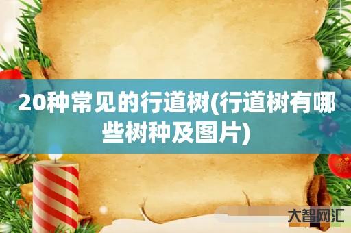 20种常见的行道树(行道树有哪些树种及图片) 20种常见的行道树(行道树有哪些树种及图片)