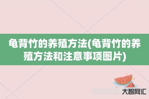 龟背竹的养殖方法(龟背竹的养殖方法和注意事项图片) 龟背竹的养殖方法(龟背竹的养殖方法和注意事项图片)