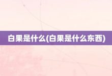 白果是什么-白果是什么东西-大智网汇