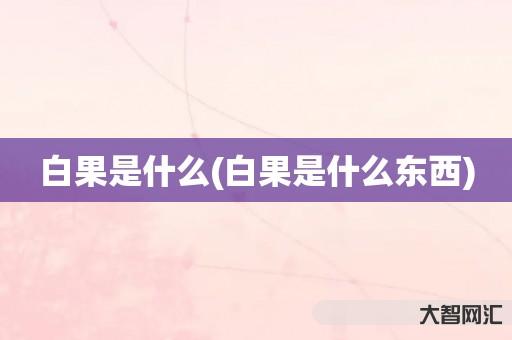 白果是什么(白果是什么东西) 白果是什么(白果是什么东西)