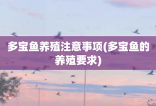 多宝鱼养殖注意事项-多宝鱼的养殖要求-大智网汇