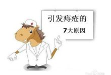 痔疮是什么样子的-初期痔疮是什么样的-大智网汇