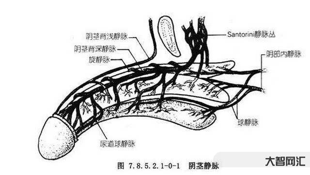 3、我买的土豆煮了很久还是很硬。是土豆问题还是做法不对?我以前买的土豆煮了一会就软了。