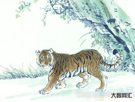 1997年属什么生肖-1997年属什么生肖-大智网汇