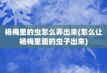 杨梅里的虫怎么弄出来-怎么让杨梅里面的虫子出来-大智网汇