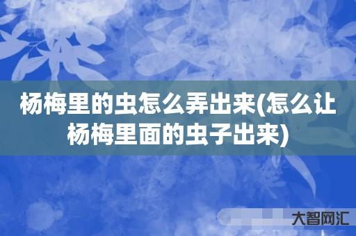 杨梅里的虫怎么弄出来(怎么让杨梅里面的虫子出来) 杨梅里的虫怎么弄出来(怎么让杨梅里面的虫子出来)