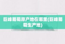 巨峰葡萄原产地在哪里-巨峰葡萄生产地-大智网汇