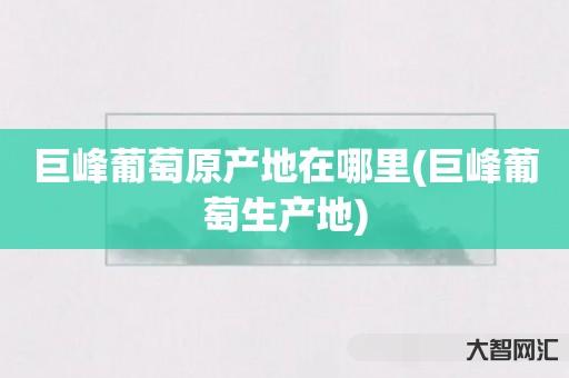 巨峰葡萄原产地在哪里(巨峰葡萄生产地) 巨峰葡萄原产地在哪里(巨峰葡萄生产地)