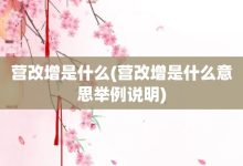 营改增是什么-营改增是什么意思举例说明-大智网汇