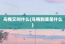 乌梅又叫什么-乌梅到底是什么-大智网汇