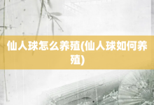 仙人球怎么养殖-仙人球如何养殖-大智网汇
