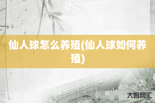 仙人球怎么养殖(仙人球如何养殖) 仙人球怎么养殖(仙人球如何养殖)