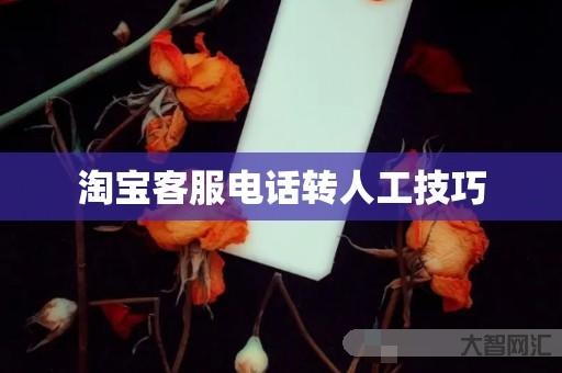 淘宝客服电话转人工技巧 淘宝客服电话转人工技巧