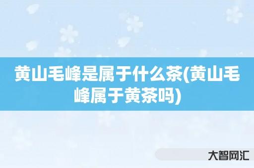 黄山毛峰是属于什么茶(黄山毛峰属于黄茶吗) 黄山毛峰是属于什么茶(黄山毛峰属于黄茶吗)