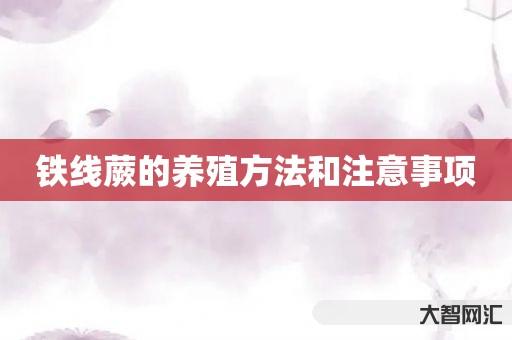 铁线蕨的养殖方法和注意事项 铁线蕨的养殖方法和注意事项