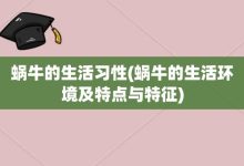 蜗牛的生活习性-蜗牛的生活环境及特点与特征-大智网汇