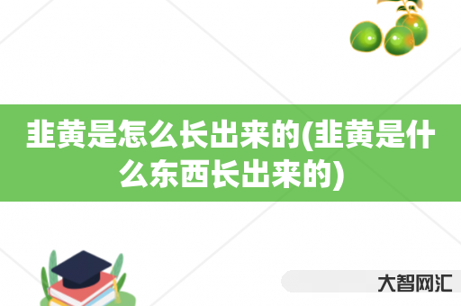 韭黄是怎么长出来的(韭黄是什么东西长出来的) 韭黄是怎么长出来的(韭黄是什么东西长出来的)