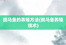 斑马鱼的养殖方法-斑马鱼养殖技术-大智网汇